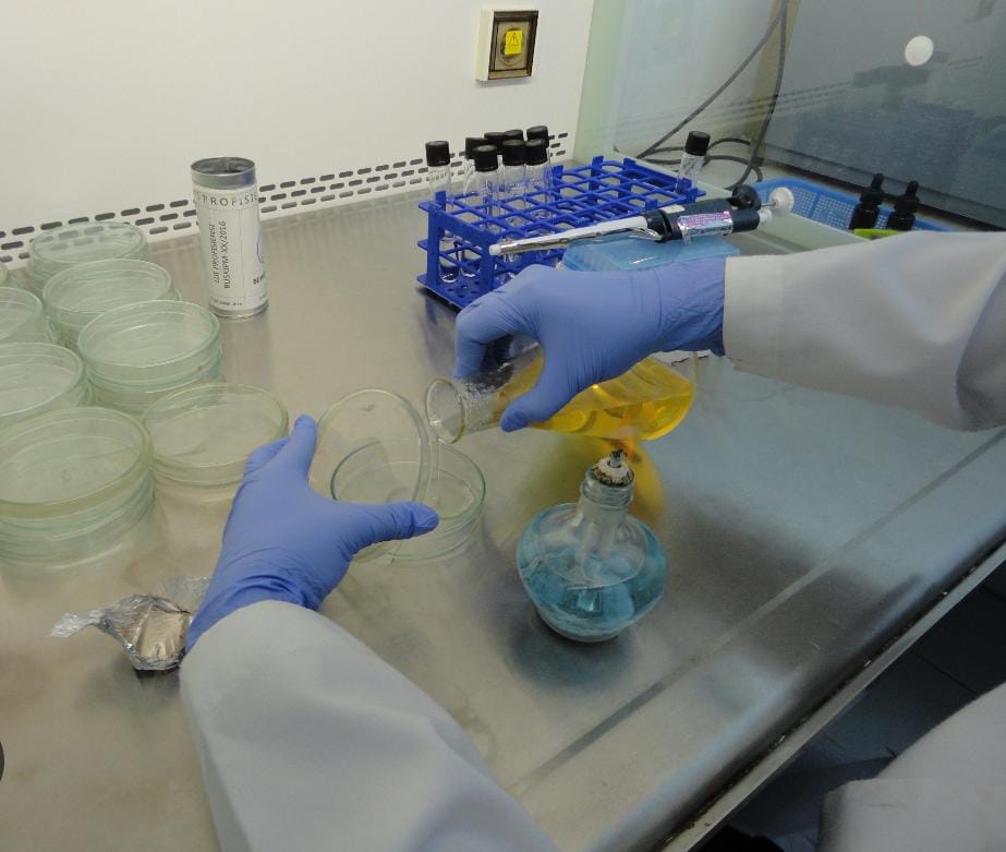 Pengujian Angka Lempeng Total